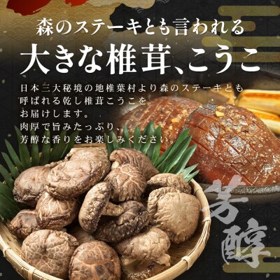 【特撰】 椎葉村産 乾し椎茸 香菇 (こうこ) 170g【森のステーキ】JA-30