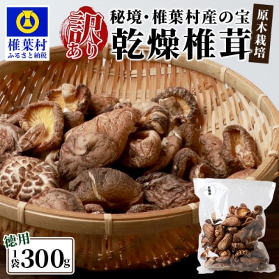【訳あり】【徳用】秘境・椎葉村産 原木 乾しいたけ 300g【森林率96%の村の宝】