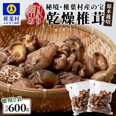 【訳あり・徳用】秘境・椎葉村産 原木 乾しいたけ 600g(300g×2袋)【森林率96%の村の宝】