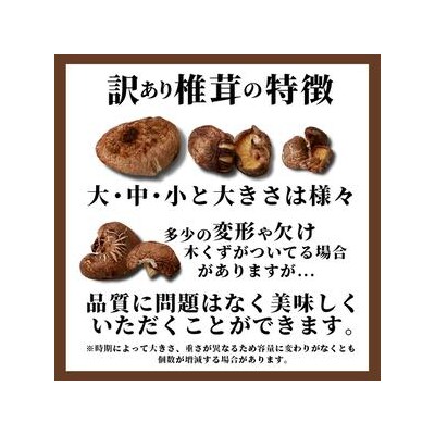 【訳あり・徳用】秘境・椎葉村産 原木 乾しいたけ 600g(300g×2袋)【森林率96%の村の宝】
