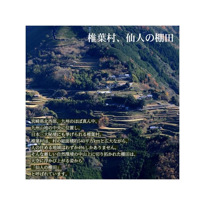 仙人の棚田米【5kg】椎葉産 JA-25