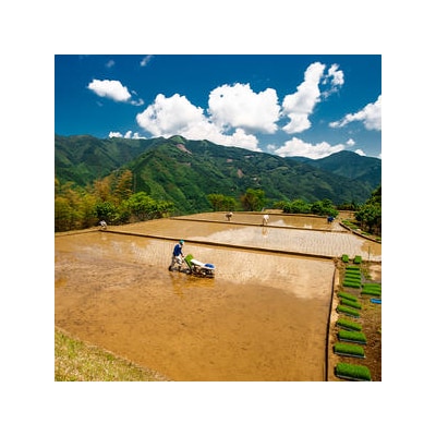 仙人の棚田米【5kg】椎葉産 JA-25