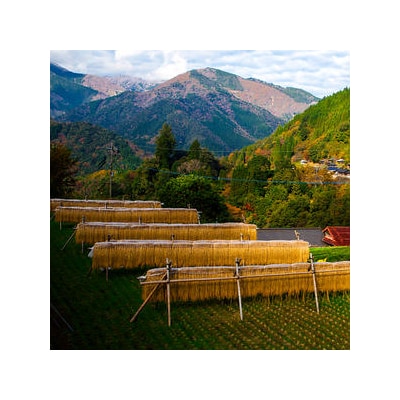 仙人の棚田米【5kg】椎葉産 JA-25