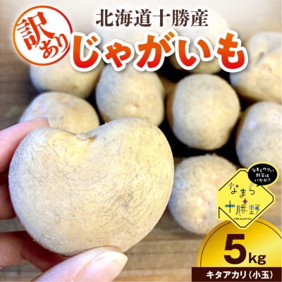 【訳あり】北海道十勝芽室町 農家応援じゃがいも キタアカリ(小玉)5kg me001-050c-1