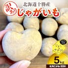 【訳あり】北海道十勝芽室町 農家応援じゃがいも 北海こがね(変形)5kg　me001-050c-3