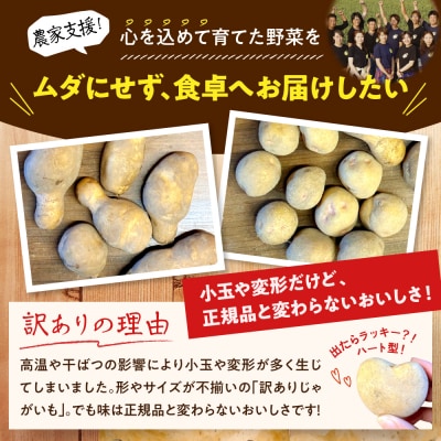 【訳あり】北海道十勝芽室町 農家応援じゃがいも(越冬)5kg　北海こがね(変形)