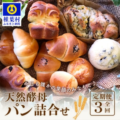 《3ヶ月定期便》【秘境・椎葉村の愛されパン屋さん】天然酵母パン 詰め合わせ 7種10個セット
