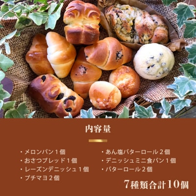 《3ヶ月定期便》【秘境・椎葉村の愛されパン屋さん】天然酵母パン 詰め合わせ 7種10個セット