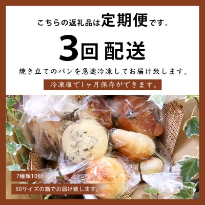 《3ヶ月定期便》【秘境・椎葉村の愛されパン屋さん】天然酵母パン 詰め合わせ 7種10個セット