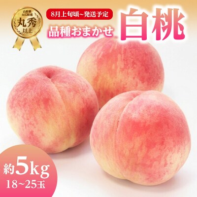 《先行受付》品種おまかせ 白桃 約5kg【丸秀以上】【2026年8月上旬頃～発送予定】001-101