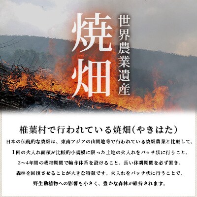 【さとふる限定】焼畑農家がつくった3種のお餅セット(白もち あずきもち とうきびもち)