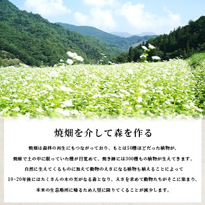 【さとふる限定】焼畑農家がつくった3種のお餅セット(白もち あずきもち とうきびもち)