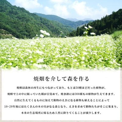 焼畑農家がつくった5種のお餅セットA(白もち よもぎもち とうきびもち あずきもち あわもち)