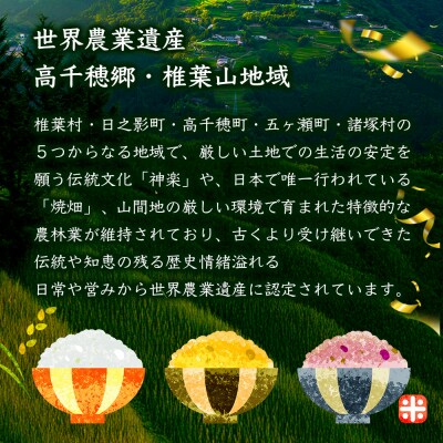【6回定期便】【雑穀米】藤の花色に染まる美しい六穀米《藤六穀》300g×1袋【TT-13】