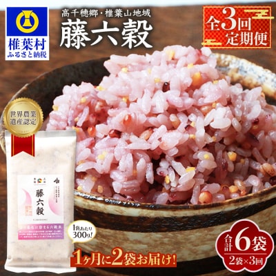 【3回定期便】【雑穀米】藤の花色に染まる美しい六穀米《藤六穀》300g×2袋【TT-14】