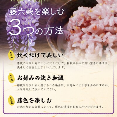 【3回定期便】【雑穀米】藤の花色に染まる美しい六穀米《藤六穀》300g×2袋【TT-14】