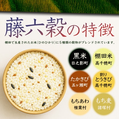 【6回定期便】【雑穀米】藤の花色に染まる美しい六穀米《藤六穀》300g×2袋【TT-15】