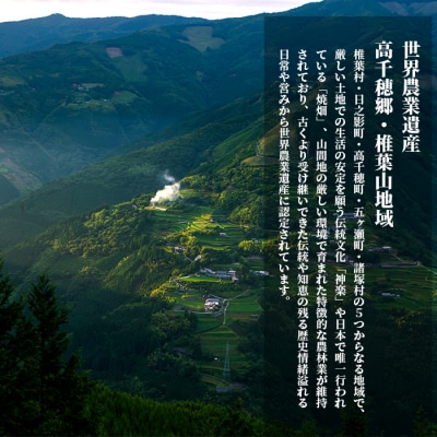 【雑穀米】藤の花色に染まる美しい六穀米《藤六穀》300g×1袋【世界農業遺産 高千穂郷・椎葉山地域】