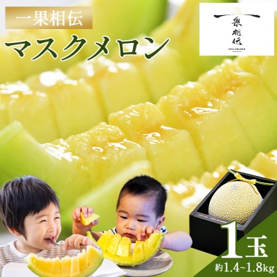 メロン 1玉入り 一果相伝マスクメロン 1玉 青肉 tn-0010
