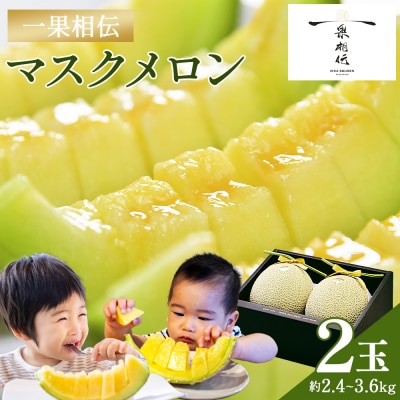 メロン 2玉入り 一果相伝マスクメロン 2玉 tn-0012