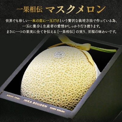 メロン 2玉入り 一果相伝マスクメロン 2玉 tn-0012