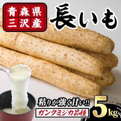青森県三沢市産 長いも (5kg)