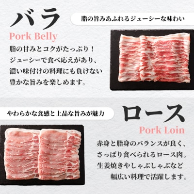 川賢こだわりポーク詰合せ<計1.2kg>
