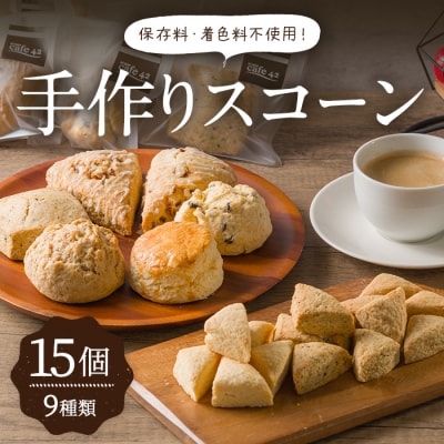 手作りスコーン6種+ミニスコーン3種詰め合わせセット＜計15個入＞