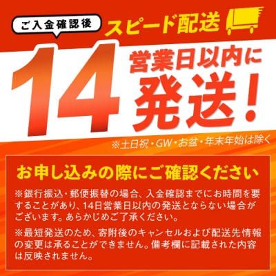 手作りスコーン6種+ミニスコーン3種詰め合わせセット＜計15個入＞