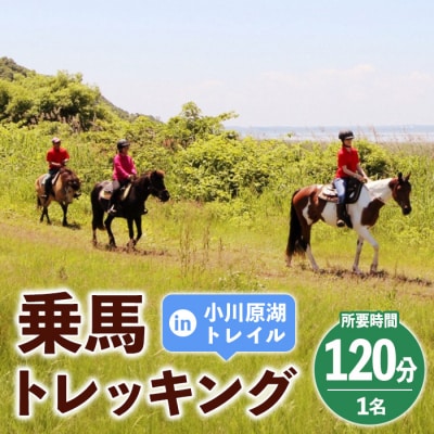 青森県三沢市 乗馬トレッキング(小川原湖トレイル) 1名様 120分