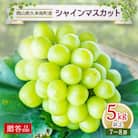 久米南シャインマスカット5kg以上(7～8房)【贈答品】