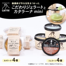 LATTEカップジェラート〈おまかせ4個〉カタラーナ〈mini4個〉のセット【竹】