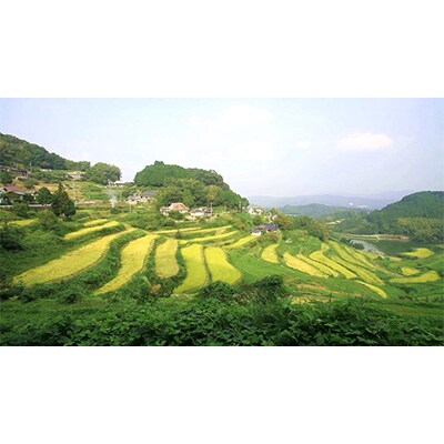 久米南産　山田錦　山廃純米酒　桃太郎　鬼退治　720ml　3本