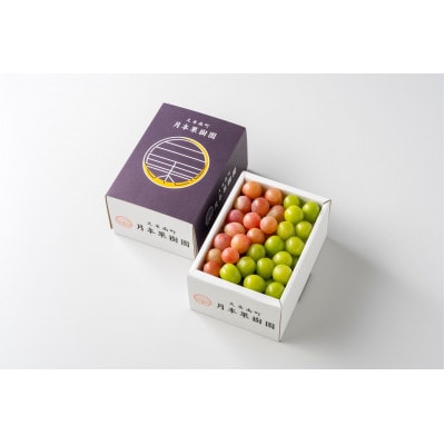 摘み落としぶどう　2種類詰め合わせ(ニューピオーネ、シャインマスカット)　1kg