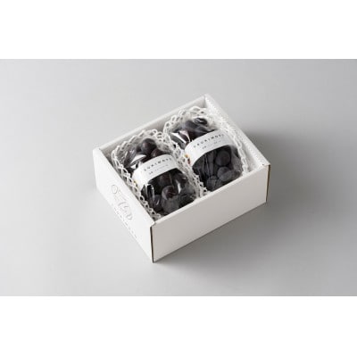 【発送月固定定期便】ニューピオーネとシャインマスカット　約1kg(2～3房)全2回