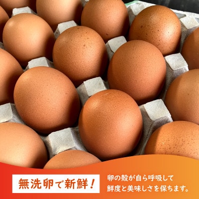 養鶏場から直送!甘くておいしい「山頂たまご」赤たまご　80個