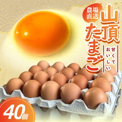 【毎月定期便】養鶏場から直送!甘くておいしい「山頂たまご」赤たまご　40個　全3回