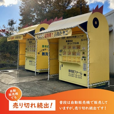 【毎月定期便】養鶏場から直送!甘くておいしい「山頂たまご」赤たまご　40個　全3回