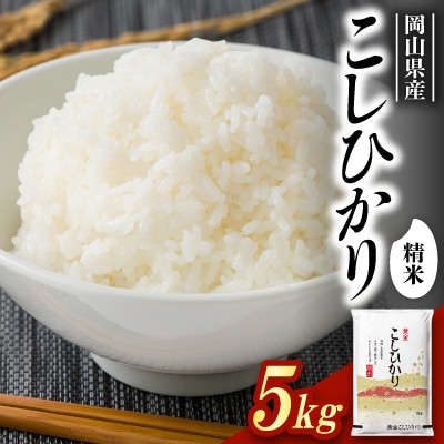 【食味鑑定士厳選】岡山県産 コシヒカリ5kg(5kg×1袋)