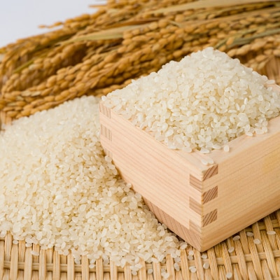 【食味鑑定士厳選】岡山県産 コシヒカリ5kg(5kg×1袋)