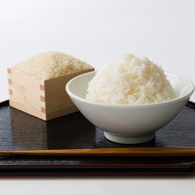 【食味鑑定士厳選】岡山県産 コシヒカリ10kg(5kg×2袋)