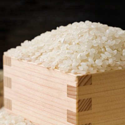 【食味鑑定士厳選】岡山県産 きぬむすめ15kg(5kg×3袋)