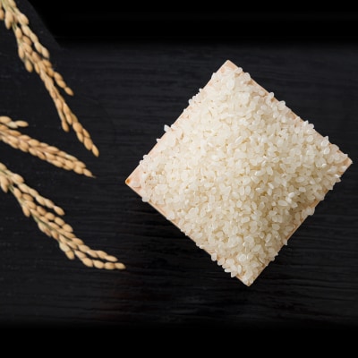 【毎月定期便】【食味鑑定士厳選】岡山県産 きぬむすめ5kg(5kg×1袋)全3回