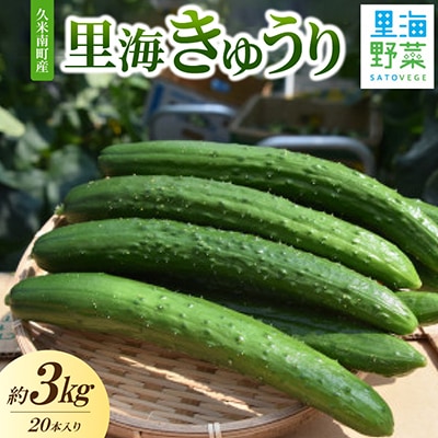 久米南町産　里海きゅうり 20本入(約3kg)