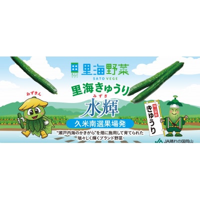 久米南町産　里海きゅうり 約3kg