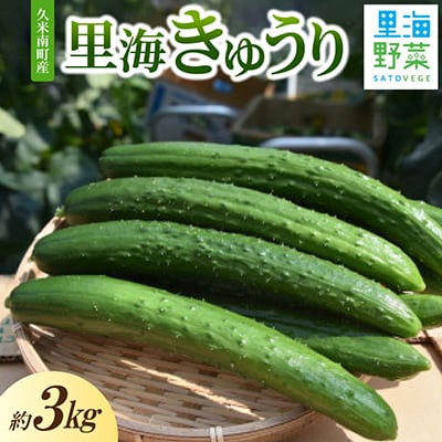 久米南町産　里海きゅうり 約3kg