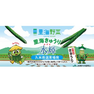 久米南町産　里海きゅうり 約3kg