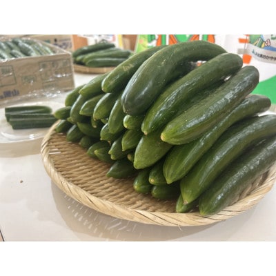 久米南町産　里海きゅうり 約5kg　50本以上