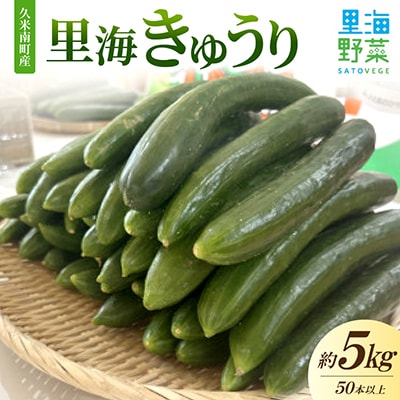 久米南町産　里海きゅうり 約5kg　50本以上