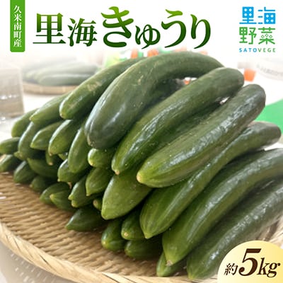 久米南町産　里海きゅうり 約5kg